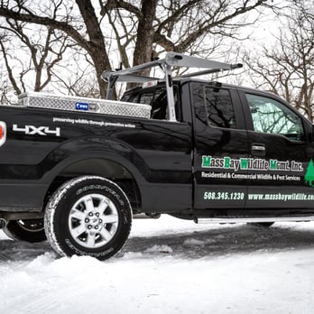Mass Bay Wildlife Management - One of our fleet vehicles. - Pest Control Near Me Mass Bay Wildlife Management - One of our fleet vehicles. - Pest Control Near Me