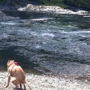 Rouge Valley Conservation Centre - Beautiful river. - Hiking Near Me - Toronto, Ontario