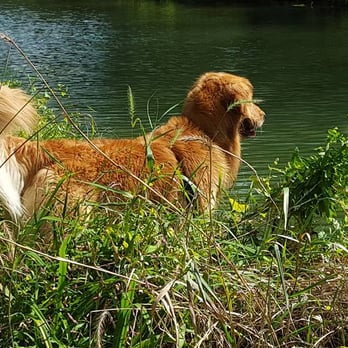 Eden Mill Nature Center - Riley loves the sweet grass here, always snacking when we hike - Parks Near Me - Pylesville, Maryland Eden Mill Nature Center - Riley loves the sweet grass here, always snacking when we hike - Parks Near Me - Pylesville, Maryland