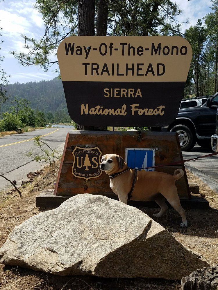 FORKS CAMPGROUND Updated August 2024 29 Photos & 19 Reviews Bass