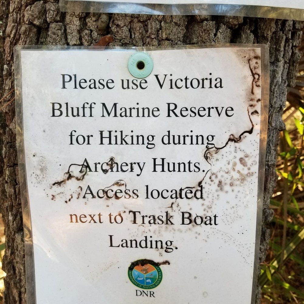 Victoria Bluff Heritage Preserve - Hiking Near Me - Bluffton, South Carolina