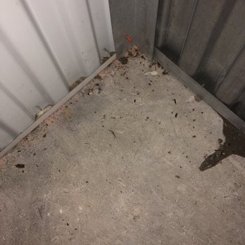 Extra Space Storage - Mouse droppings - Self Storage Near Me - Reston, Virginia