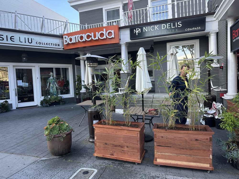 Barracuda Sushi Logo