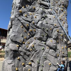 Rock climbing and zip line available for smaller toddlers.