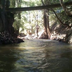 Parque Recreativo Los Sabinos - Rio ubicado a un costado del balneario.