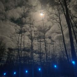 Wish You Were Here Eco RV Village - Full.moon