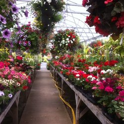 Anderton Nursery - Saleshouse