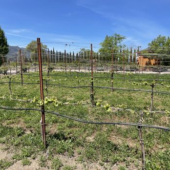 Cakebread Cellars - Wineries Near Me - Rutherford, California