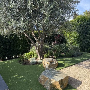 Lopez Garden Services - My garden area. - Gardeners Near Me