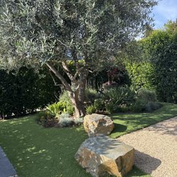 Lopez Garden Services - My garden area.
