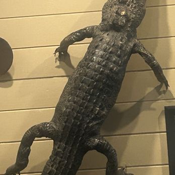 Bob's Steak & Chop House - Amelia Island - Inside decor - a gator up on all fours. - Seafood Near Me - Fernandina Beach, Florida Bob's Steak & Chop House - Amelia Island - Inside decor - a gator up on all fours. - Seafood Near Me - Fernandina Beach, Florida