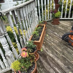 Martin’s Garden Center
