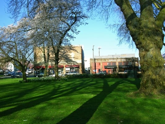 Greenlake Bar & Grill by null