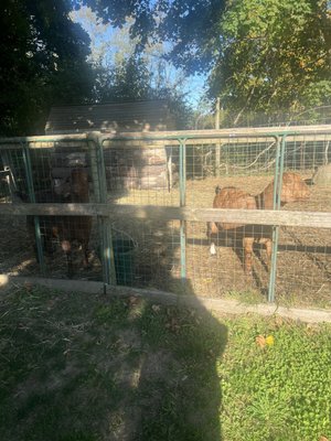 1760 Homestead Farm by null