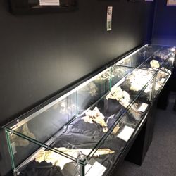 Summerville Museum & Research Center - Amazing local finds