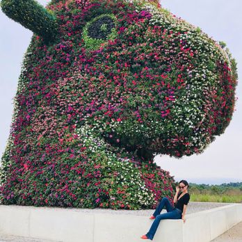 Glenstone - Art Museums Near Me - Potomac, Maryland