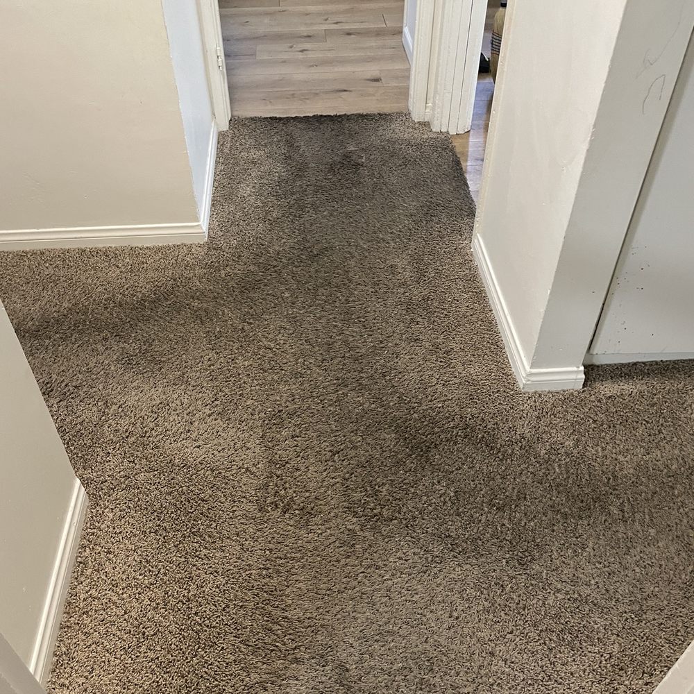 Mr Felix Carpet Care - Carpet Cleaning Near Me - Downey, California Mr Felix Carpet Care - Carpet Cleaning Near Me - Downey, California