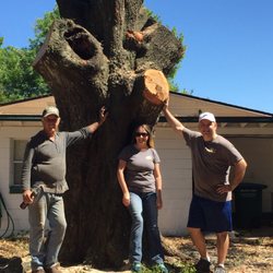 Rick's Tree And Landscaping Services