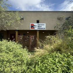 Tucson Bird Alliance Nature Shop - A lush garden welcomes humans and birds alike