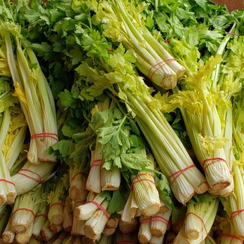 Kai Wei Supermarket - Celery - Grocery Near Me - Toronto, Ontario Kai Wei Supermarket - Celery - Grocery Near Me - Toronto, Ontario
