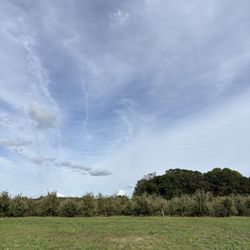 Blue Jay Orchards