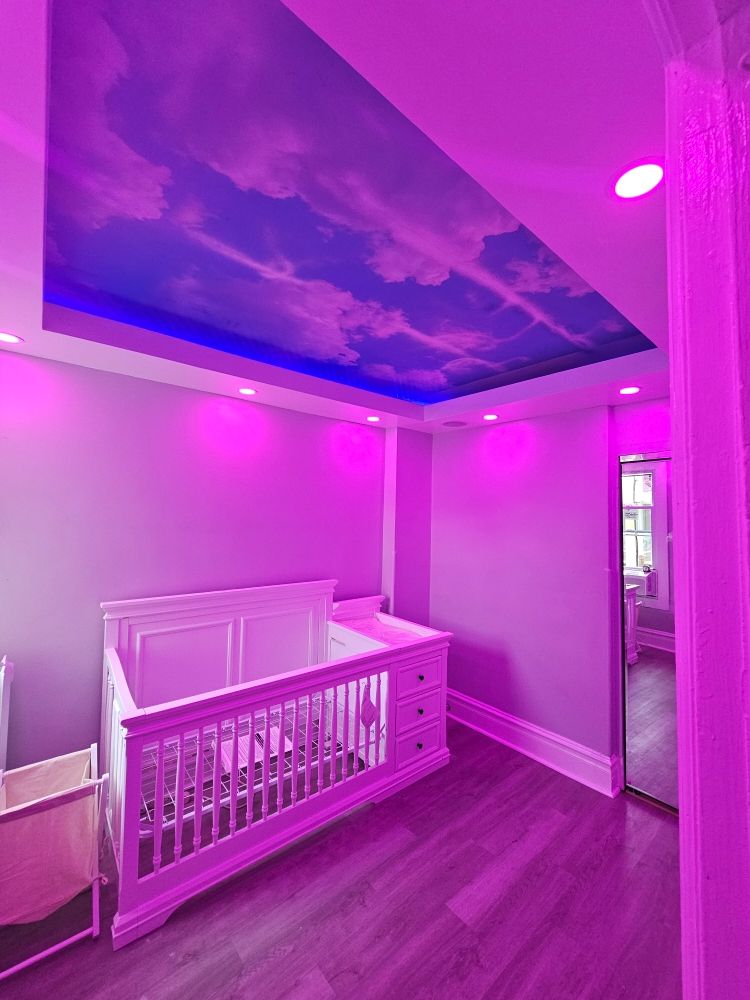 Slide of Frconstruction