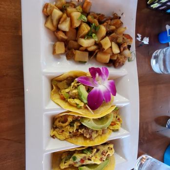Fairview Farmers - DELICIOUS & filling Breakfast Tacos - Breakfast & Brunch Near Me - Fairview, Texas