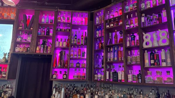 Tequila Daisy by null