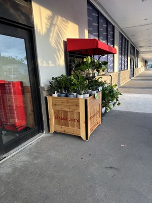 Trader Joe’s by null