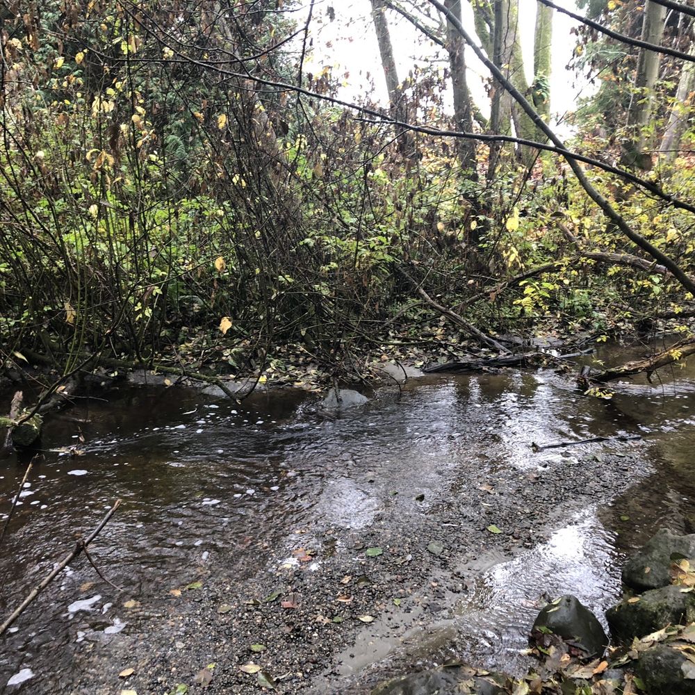 Carkeek Park - Gorgeous trails meandering along the stream - Parks Near Me - Seattle, Washington Carkeek Park - Gorgeous trails meandering along the stream - Parks Near Me - Seattle, Washington