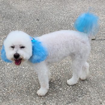 K Grooming - Pet Groomers Near Me - Hanover, Pennsylvania