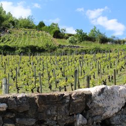 La Ferme de Champlong - Drink local