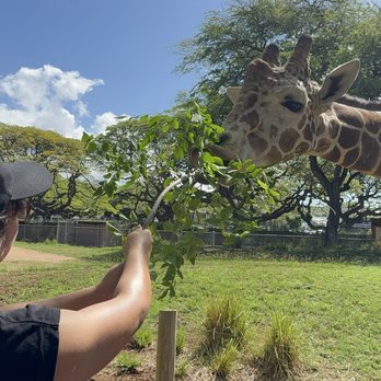 Honolulu Zoo - Zoos Near Me - Honolulu, Hawaii