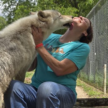 Seacrest Wolf Preserve - Zoos Near Me - Chipley, Florida Seacrest Wolf Preserve - Zoos Near Me - Chipley, Florida