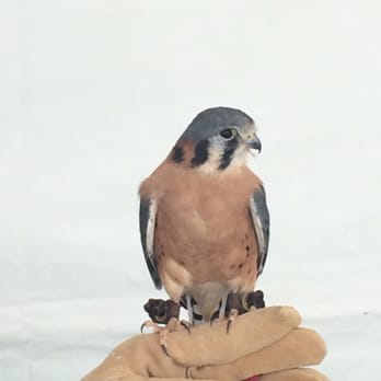 Project Wildlife - Animal Shelters Near Me - San Diego, California