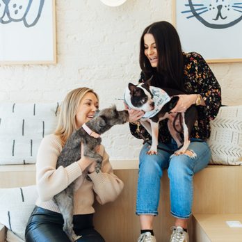 Bond Vet - Roslyn - Veterinarians Near Me - Roslyn, New York Bond Vet - Roslyn - Veterinarians Near Me - Roslyn, New York