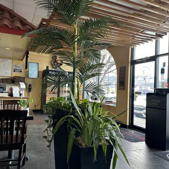 Walden's Coffeehouse - Coffee & Tea Near Me - Reno, Nevada Walden's Coffeehouse - Coffee & Tea Near Me - Reno, Nevada