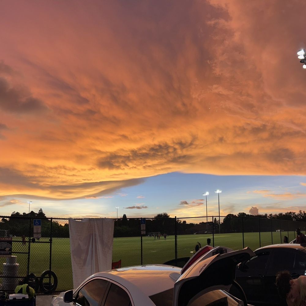 Countryside Sports Complex - Stadiums & Arenas Near Me - Clearwater, Florida Countryside Sports Complex - Stadiums & Arenas Near Me - Clearwater, Florida
