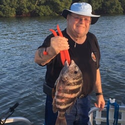 Fish Southwest Fl