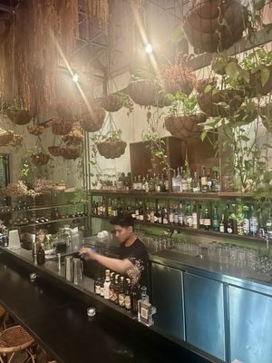 Chocha Foodstore by null