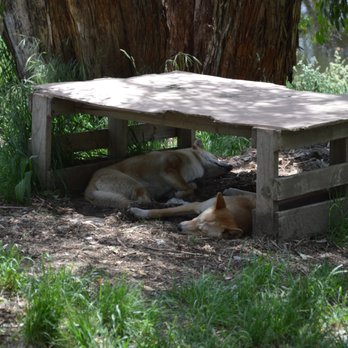 Cleland Wildlife Park - Coffee & Tea Near Me - Crafers, SA