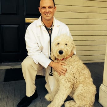 Dixon Primary Care - Dr. Dixon, M.D. + Willie - Internal Medicine Near Me - Wilmington, North Carolina Dixon Primary Care - Dr. Dixon, M.D. + Willie - Internal Medicine Near Me - Wilmington, North Carolina