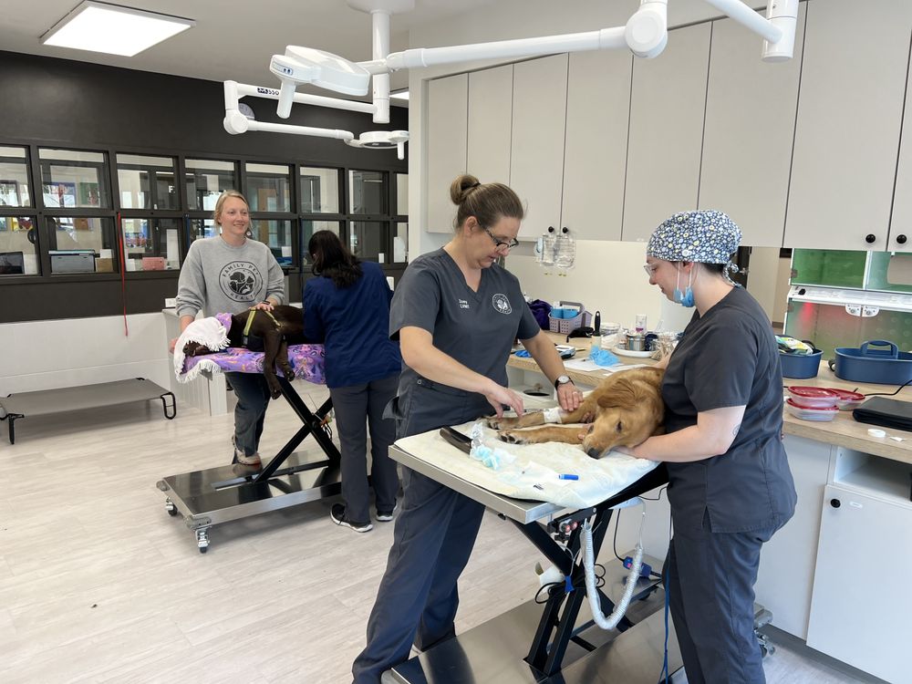 FAMILY PET HEALTH Updated August 2024 25 Photos 3907 Richard