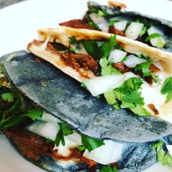 Blues' tacos - Blue corn tortilla are delicious, available for any taquiza.