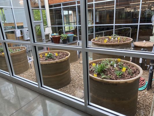 Anita B. Gorman Conservation Discovery Center by null