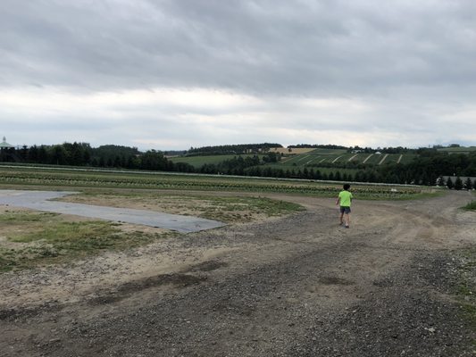 Flower Land Kamifurano by null