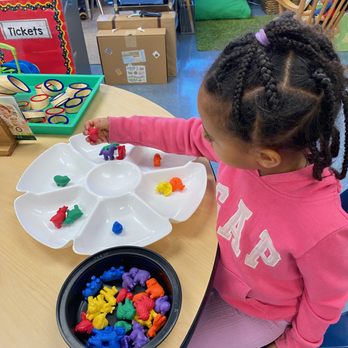 St George's Preschool - Learning sorting while working on fine motor skills. - Elementary Schools Near Me - Fairfax, Virginia St George's Preschool - Learning sorting while working on fine motor skills. - Elementary Schools Near Me - Fairfax, Virginia