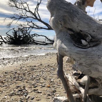 Botany Bay Plantation - The beach area is beautiful and full of unique shells (that you cannot take) - Parks Near Me - Edisto Island, South Carolina
