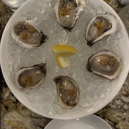 Oysters