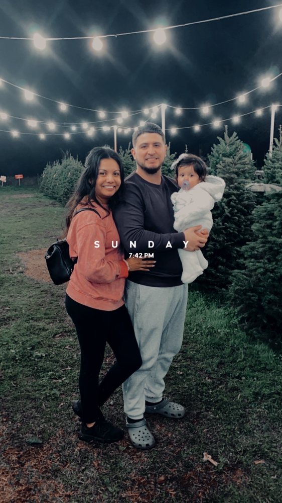 BAMBI’S CHRISTMAS TREE LAND Updated August 2024 11 Photos 6781